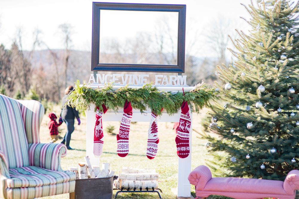 Angevine Farm, Warren Roadtrippers