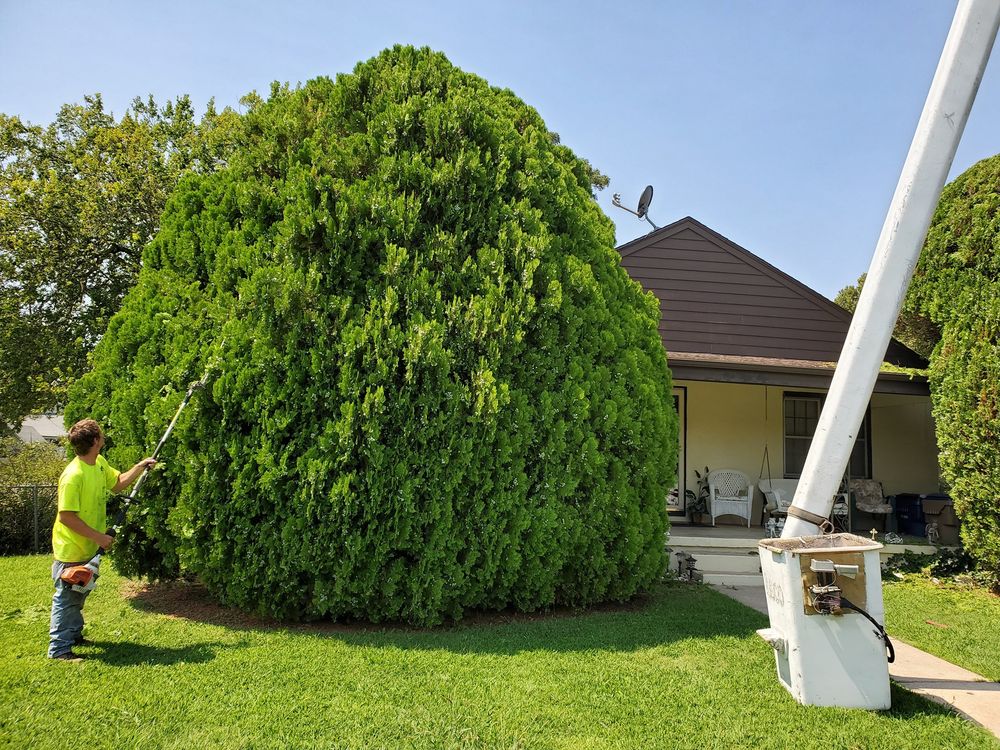 Arbor Med Tree Service - tree service in Wichita, KS