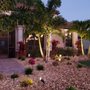 Photo of Palms Galore & Decor