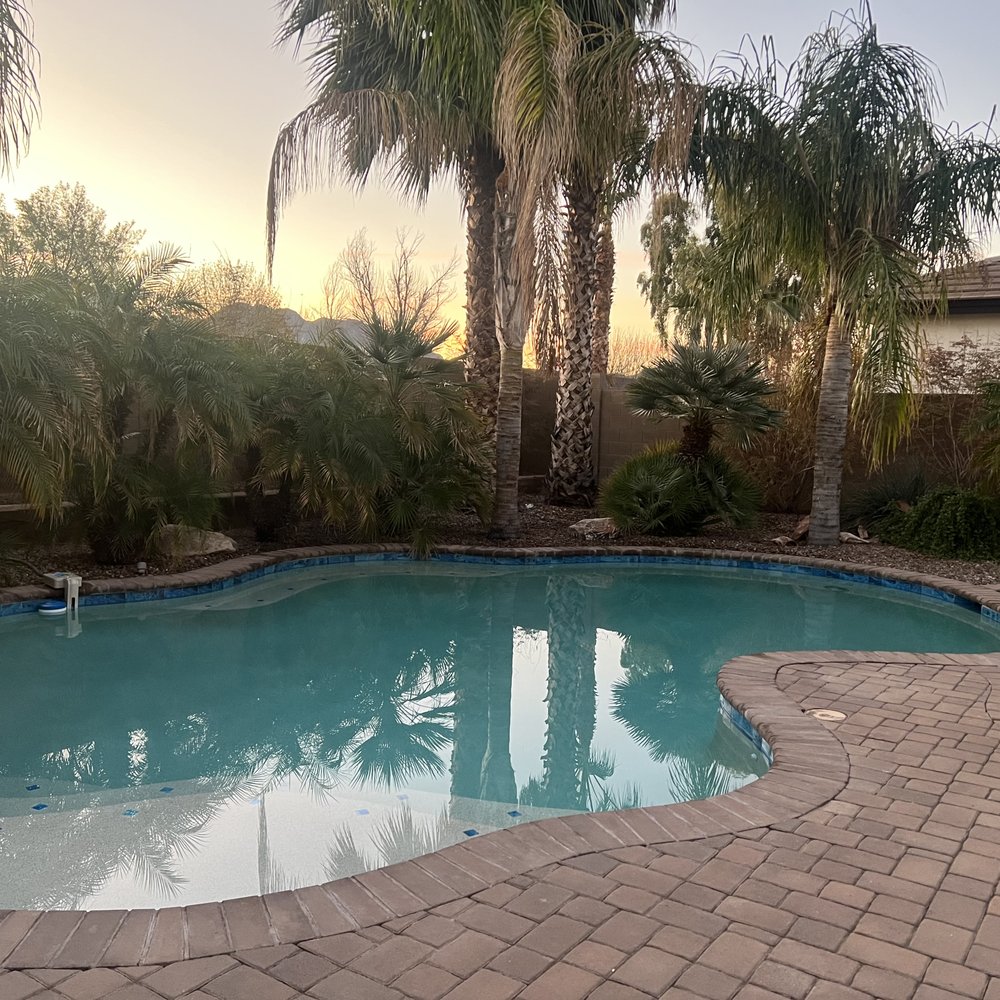 Barefoot Pools - Couldn't be happier! - Pool Cleaners Near Me - Gilbert, Arizona