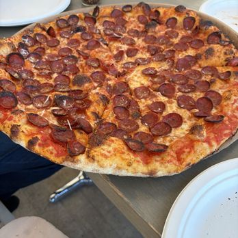 Tree House Brewing - Pizza - Brewpubs Near Me - Sandwich, Massachusetts