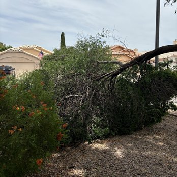 Mountain Eagle Landscaping - Broken tree branch - Landscaping Near Me Mountain Eagle Landscaping - Broken tree branch - Landscaping Near Me