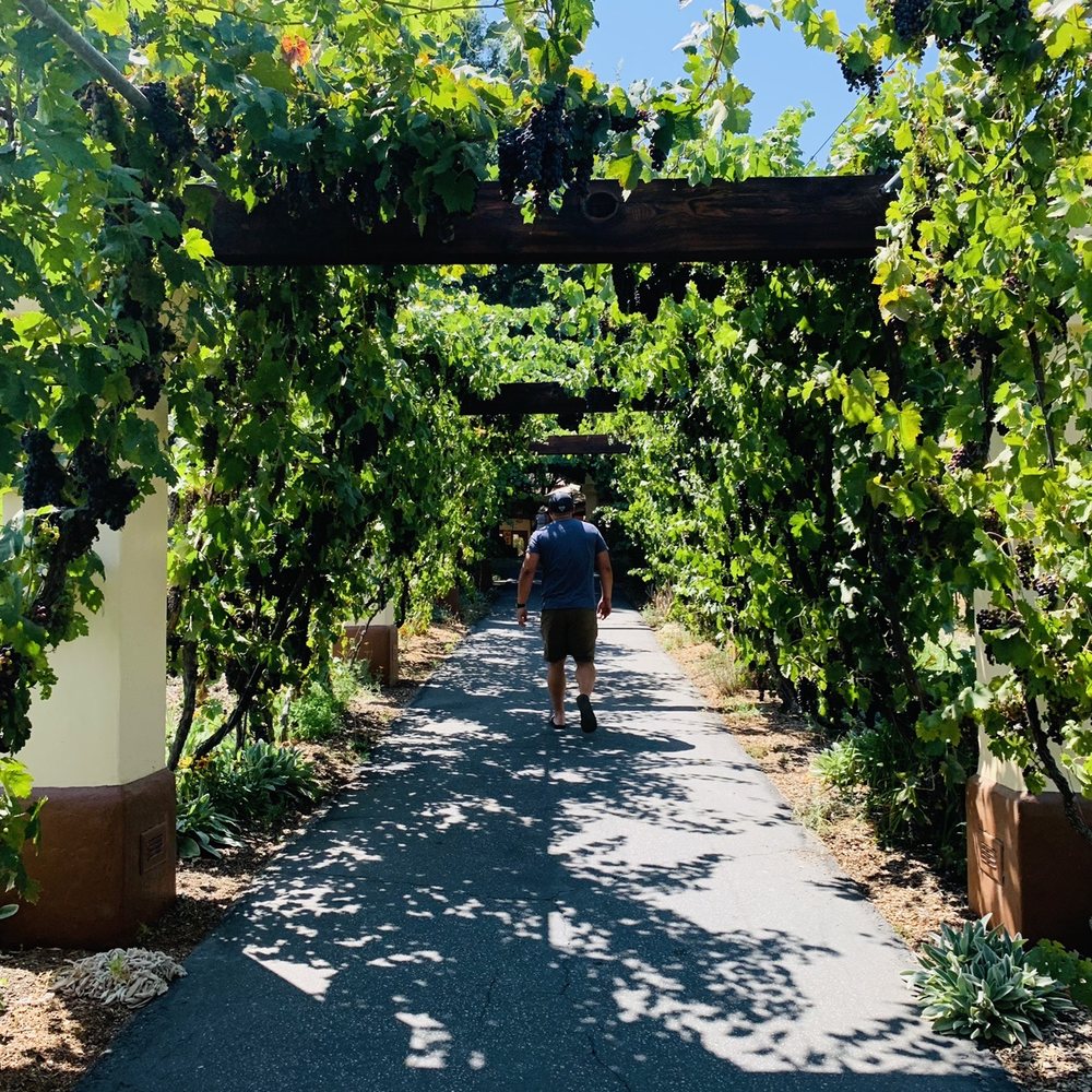 Castoro Cellars - Entrance - Wineries Near Me - Templeton, California