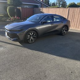 Before tint = fishbowl