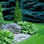 Vaca Landscaping