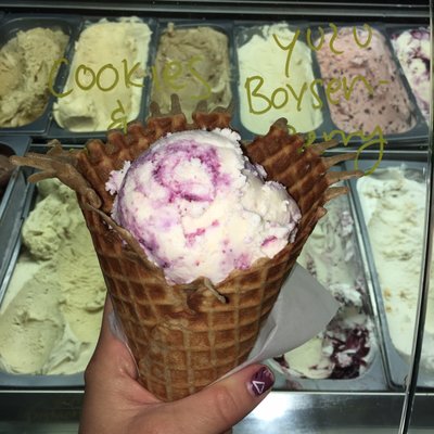 Ginger's Divine Ice Creams by null