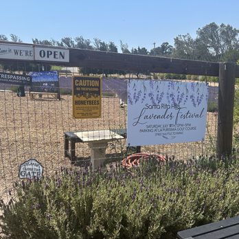 Santa Rita Hills Lavender Farm - Outside - Attraction Farms Near Me - Lompoc, California Santa Rita Hills Lavender Farm - Outside - Attraction Farms Near Me - Lompoc, California