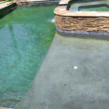 Sesma's Pool Service - My pool BEFORE Fred... - Pool Cleaners Near Me Sesma's Pool Service - My pool BEFORE Fred... - Pool Cleaners Near Me