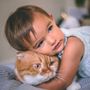 Photo of Luxury Kittens Scottish Fold