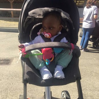 Bronx Zoo - She Wasn't Feeling The Peacocks Running Down On Her - Zoos Near Me - Bronx, New York