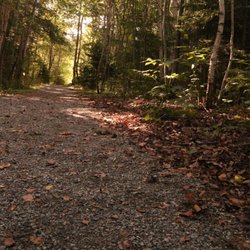 Petersfield Provincial Park - Trail