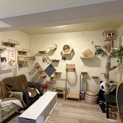 MiaoMiao Cafe - Climbing and lounging wall