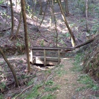 Roys Redwoods Preserve - Parks Near Me - Marin, California
