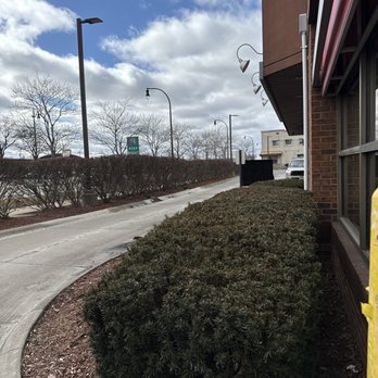 Tim Hortons - Drive-through is empty today - Coffee & Tea Near Me - Lincoln Park, Michigan Tim Hortons - Drive-through is empty today - Coffee & Tea Near Me - Lincoln Park, Michigan