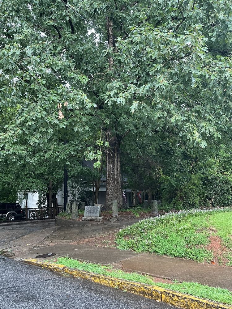 THE TREE THAT OWNS ITSELF Updated September 2024 21 Photos & 15