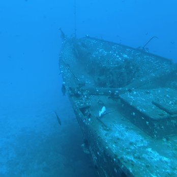 Atlantis Submarines - Best part was the sunken ship - Tours Near Me - Lahaina, Hawaii Atlantis Submarines - Best part was the sunken ship - Tours Near Me - Lahaina, Hawaii