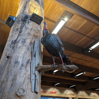 Bass Pro Shops - Hunting & Fishing Supplies Near Me - Denver, Colorado