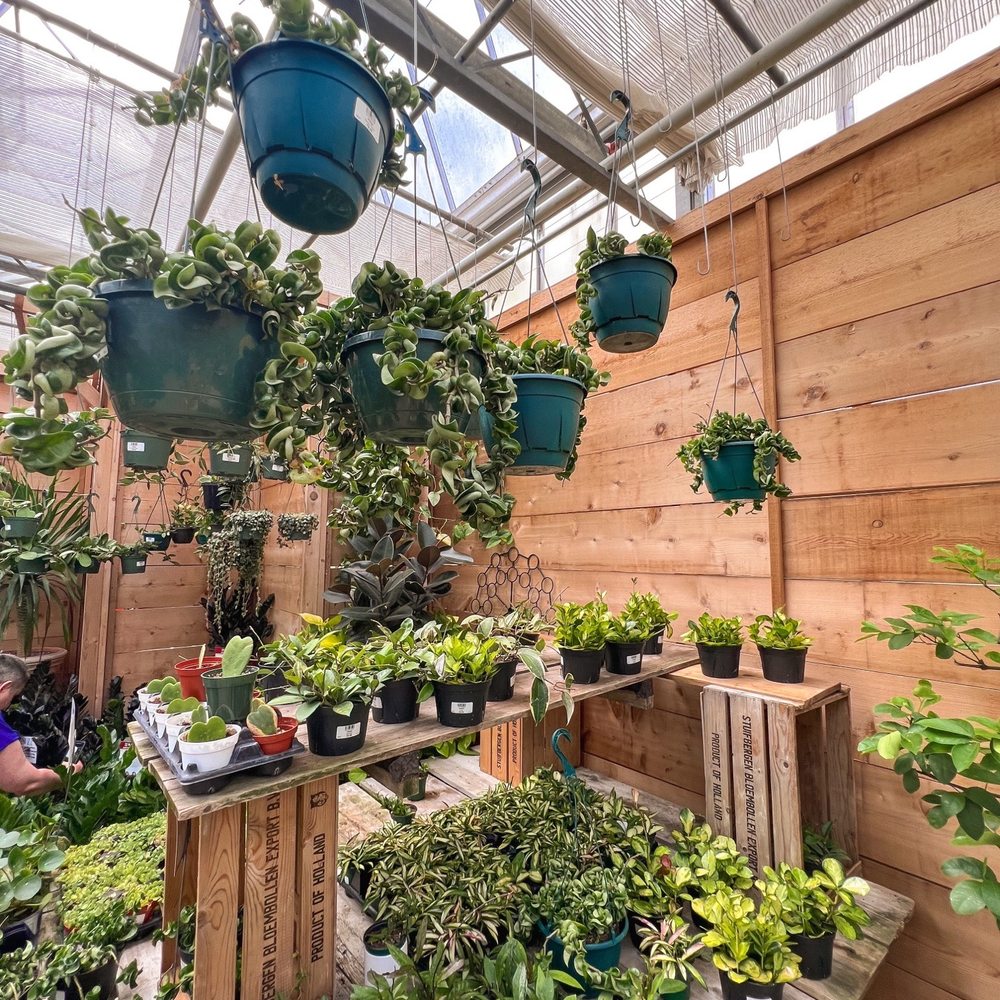 Café Equinox - Home & Garden Near Me - Shawnee, Kansas