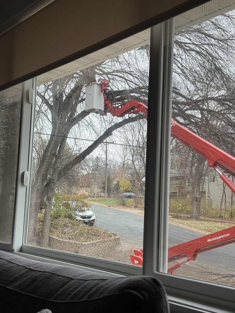 Braun Outdoors - tree service in Richfield, MN