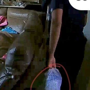 Ladybug Cleaning - But they do take bags inside - Home Cleaning Near Me - Las Vegas, Nevada Ladybug Cleaning - But they do take bags inside - Home Cleaning Near Me - Las Vegas, Nevada
