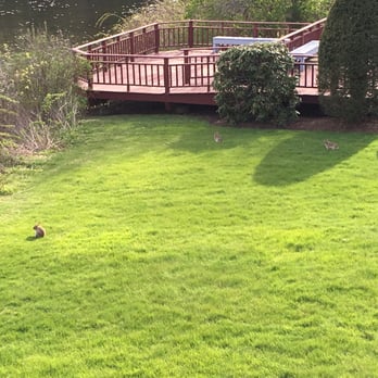 Pondside at Littleton - BUNNIES! - Apartments Near Me - Littleton, Massachusetts