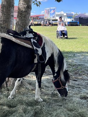 Tanana Valley State Fair Association by null