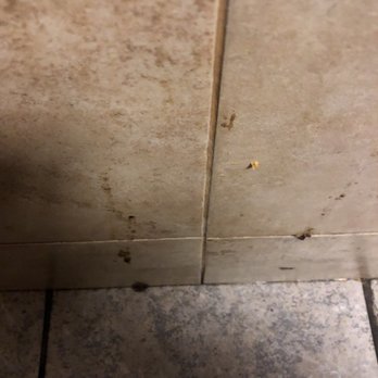 River Star Diner - The remnants of someone's fecal matter... - Diners Near Me - Hackettstown, New Jersey River Star Diner - The remnants of someone's fecal matter... - Diners Near Me - Hackettstown, New Jersey
