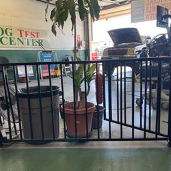 All Smog Test Only Center - 7/27/23 99 Tacoma