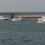 Photo of Pilgrim Belle Cruises
