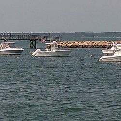 Pilgrim Belle Cruises