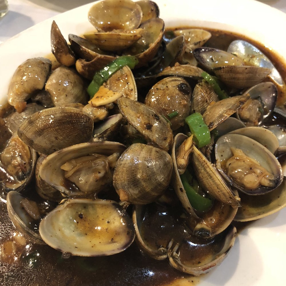 Clams Clams
