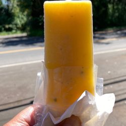 Shaka Pops - mango mojito
