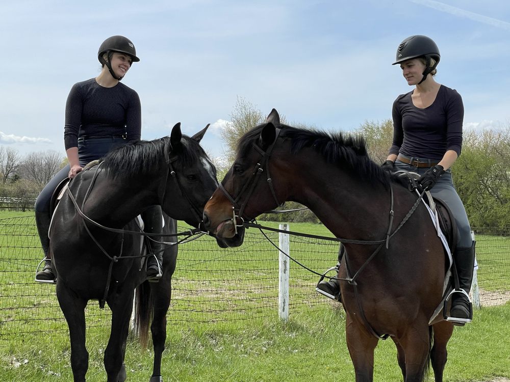 Trillion Equestrian - equestrian in Naperville, IL