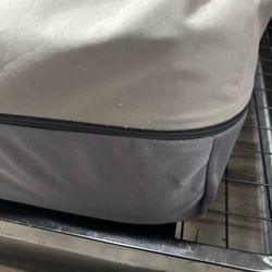 Bed bug eggs