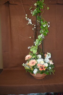 Mayer S Flower Cottage 400 Medford Ave Patchogue Ny Florists
