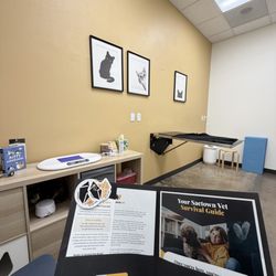 Sactown Vet - Can you spot my kitty?