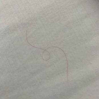 Ocean View Inn - Hair on sheets - Hotels Near Me - Montara, California Ocean View Inn - Hair on sheets - Hotels Near Me - Montara, California