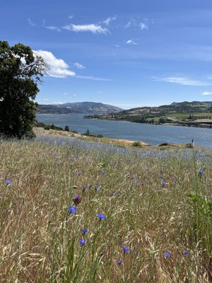 Coyote Wall Trailhead by null