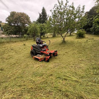 Native Roots Land Care - Before fire season hits, this is what preparation looks like. Orchard and pasture clearing, Sonoma County. Native Roots Land Care -- acreage - Lawn Services Near Me - Windsor, California Native Roots Land Care - Before fire season hits, this is what preparation looks like. Orchard and pasture clearing, Sonoma County. Native Roots Land Care -- acreage - Lawn Services Near Me - Windsor, California
