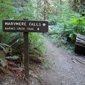 Marymere Falls - Nice trails to hike - Hiking Near Me - Port Angeles, Washington