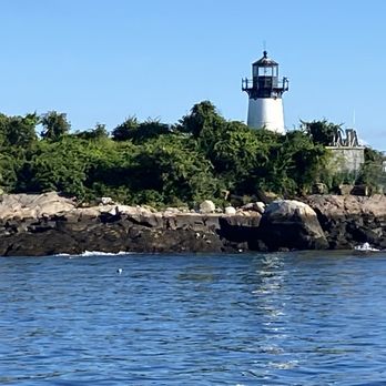 Cape Ann Whale Watch - Boat Charters Near Me - Gloucester, Massachusetts Cape Ann Whale Watch - Boat Charters Near Me - Gloucester, Massachusetts