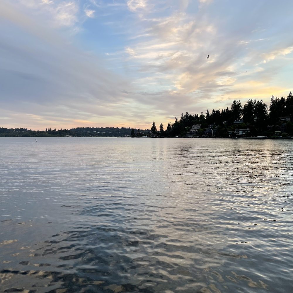 Clyde Beach Park - Parks Near Me - Bellevue, Washington Clyde Beach Park - Parks Near Me - Bellevue, Washington