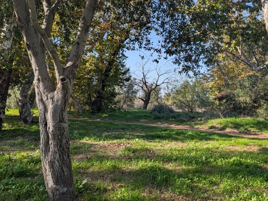 Irvine Regional Park by null