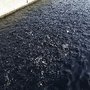 Photo of Mojave River State Fish Hatchery