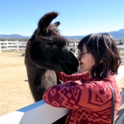 The Alpaca Hacienda