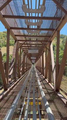 Park City Alpine Slide by null