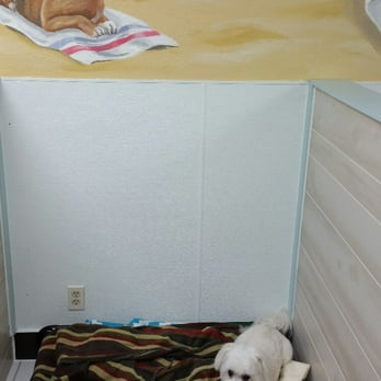 Pet Stop Grooming & Boarding - Pet Sitting Near Me - Cocoa, Florida Pet Stop Grooming & Boarding - Pet Sitting Near Me - Cocoa, Florida