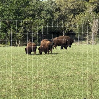 BlissWood Bed and Breakfast Ranch - Bed & Breakfast Near Me - Cat Spring, Texas