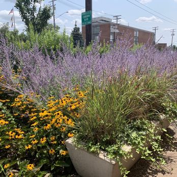Brassica - Outside next to the eating area! - Mediterranean Near Me - Shaker Heights, Ohio