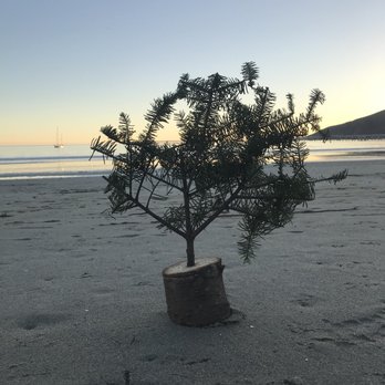 Avila Beach - Beaches Near Me - Avila Beach, California